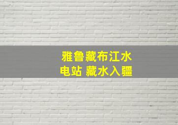 雅鲁藏布江水电站 藏水入疆